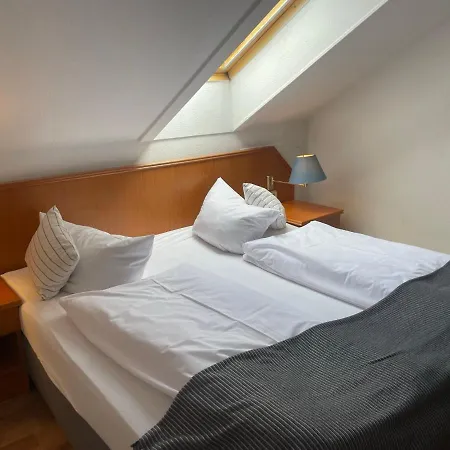 酒店 Harz 戈斯拉尔