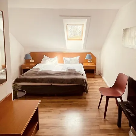 Harz 酒店 戈斯拉尔