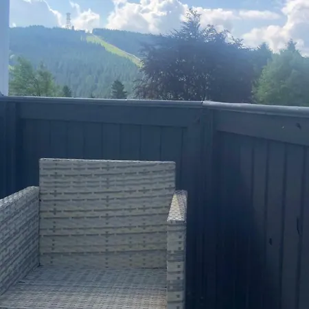 Harz 酒店 戈斯拉尔